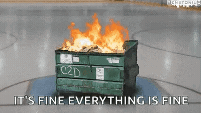 Dumpster On Fire With Its Fine GIF