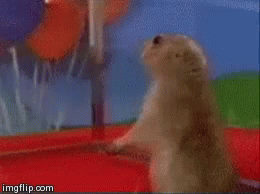 Dun Dun Dun Shook GIF