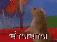 Dun Dun Dun Squirrel GIF