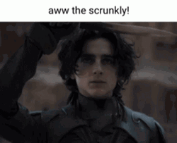 Dune Paul Atreides GIF