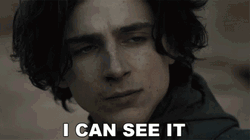Dune Timothee Chalamet GIF