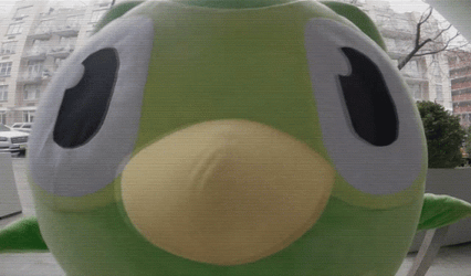 Duolingo Looking So Close GIF