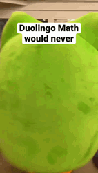 Duolingo Math Would Never Meme GIF
