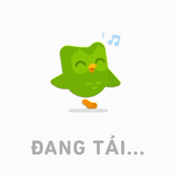 Duolingo Meme Dang Tai GIF