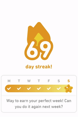 Duolingo Meme Day Streak GIF