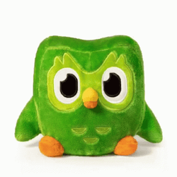 Duolingo Meme Plushy GIF