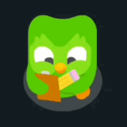 Duolingo Meme Writing Something GIF