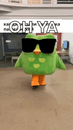 Duolingo Oh Ya Cool GIF