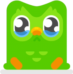 Duolingo Watery Eyes GIF