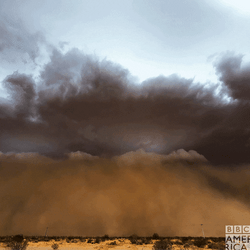Dust Storm Massive Sand Storm Approaching GIF