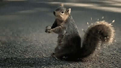 Dustin Fletcher And Devan Henderson At Computers GIF