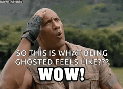 Dwayne Johnson Being Ghosted Feel Like Wow GIF