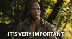Dwayne Johnson Very Important GIF