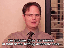 Dwight GIF