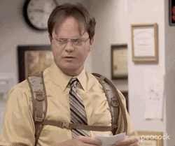 Dwight Schrute Nepotism GIF