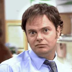 Dwight Schrute Not Amused GIF