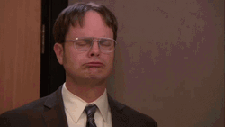 Dwight Schrute The Office Success GIF