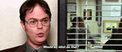 Dwight Schrute What An Idiot Do GIF