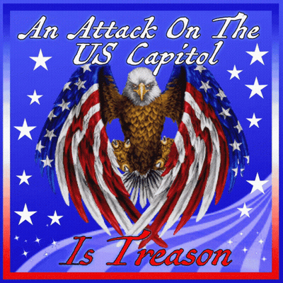 Eagle An Attack On The US Capitol Is Treason GIF