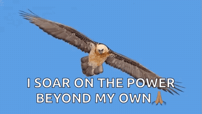 Eagle Flying In Sky I Soar GIF