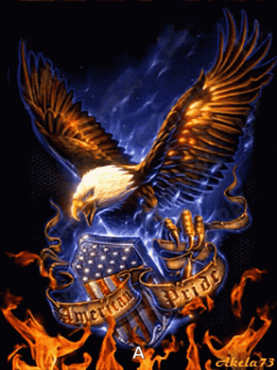 Eagle Flying Over American Flag With American Pride Banner GIF