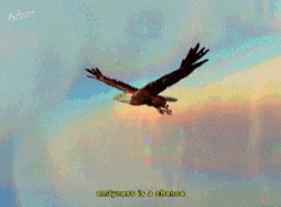 Eagle Flying Through Colorful Sky Eternity Is A Chance GIF