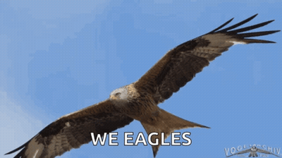 Eagle Flying We Eagles GIF