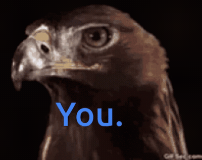Eagle Head With Blue You GIF