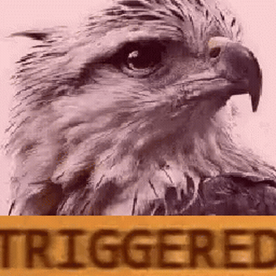 Eagle Head With Yellow Sign Saying Triggered GIF