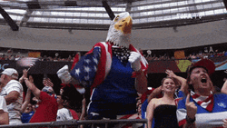 Eagle Mascot In A Game Merica Murica GIF