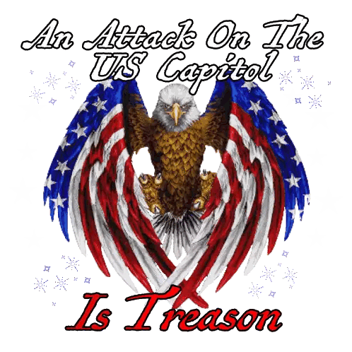 Eagle Poster With Attack On US Capitol Sticker