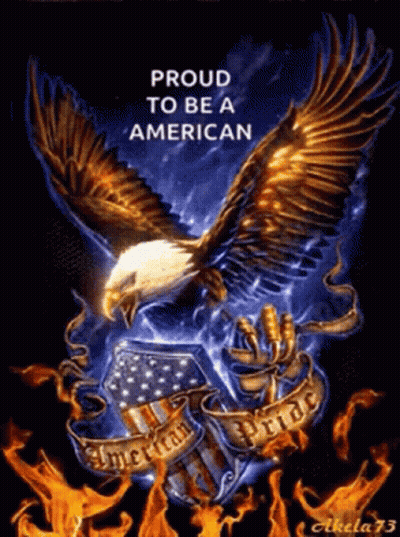 Eagle Proud To Be An American GIF