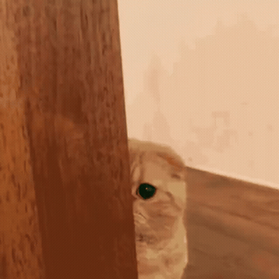 Eagle Wearing Glasses And Scarf Holding Apple 1St Day Of Eighth Grade GIF