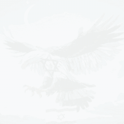 Eagle With Star Of David On Wings GIF