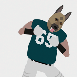 Eagles GIF