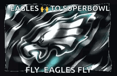 Eagles To Super Bowl Fly Eagles Fly Written On A Black Background GIF