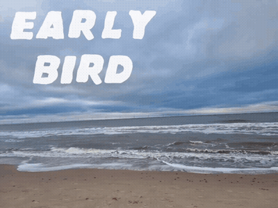 Early Bird Cartoon On Beach GIF
