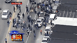 Early Morning Riot GIF