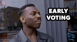 Early Voting Think About It Meme GIF
