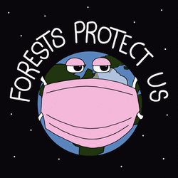 Earth Day Forests Protect Us GIF