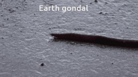 Earth Gondal Worm GIF
