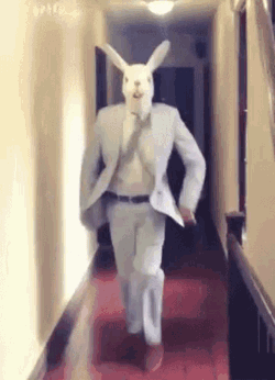Easter Bunny Happy Easter GIF
