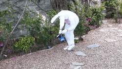 Easter Bunny Man Hiding Bud Light Drinks GIF