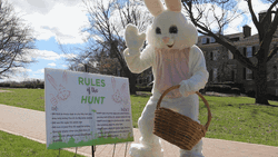 Easter Bunny Mascot With Basket Waving