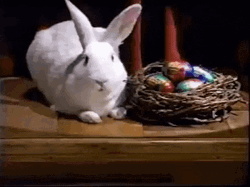 Easter Cadbury's GIF