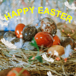 Easter Eggs Good Morning Happy Easter  GIF