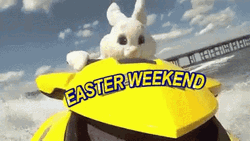 Easter Funny Bunny Jetski GIF