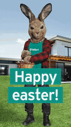 Easter Greetings Vaillant GIF