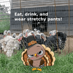 Eat Drink Wear Stretchy Pants Thanksgiving Meme GIF