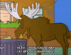 Eating Moose Get Off My Lawn GIF